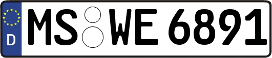 MS-WE6891