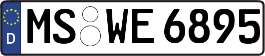 MS-WE6895