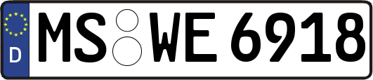 MS-WE6918