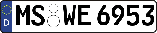 MS-WE6953