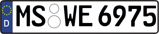 MS-WE6975