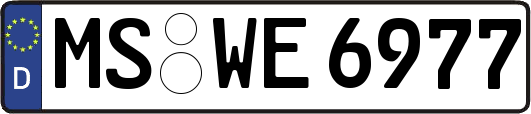 MS-WE6977