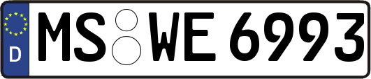 MS-WE6993