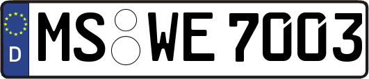 MS-WE7003