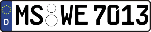 MS-WE7013