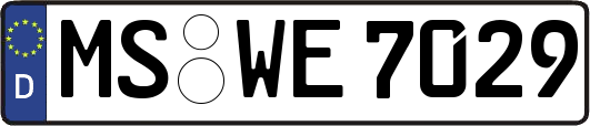MS-WE7029
