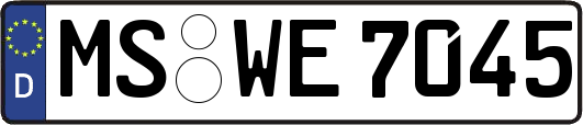 MS-WE7045