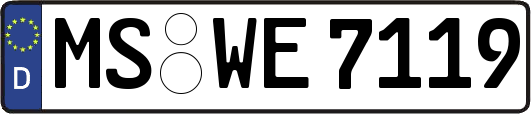 MS-WE7119