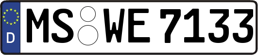 MS-WE7133