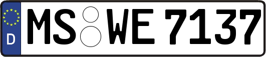 MS-WE7137