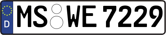 MS-WE7229