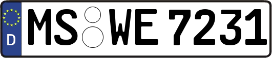 MS-WE7231