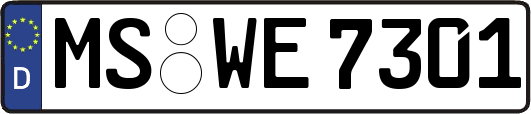 MS-WE7301