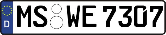 MS-WE7307