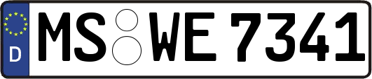 MS-WE7341