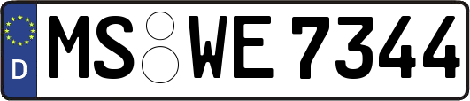 MS-WE7344