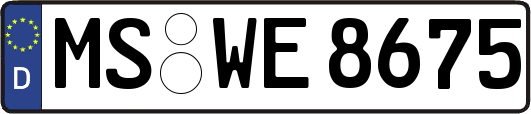 MS-WE8675