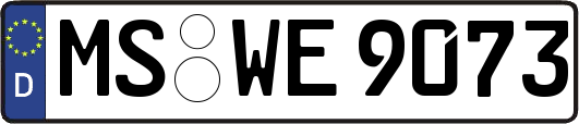 MS-WE9073