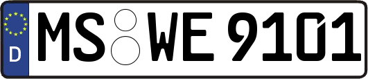 MS-WE9101