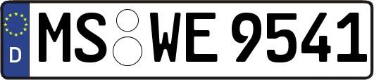MS-WE9541