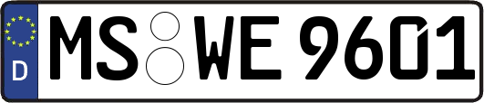 MS-WE9601