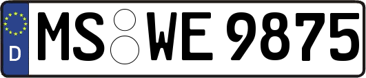 MS-WE9875