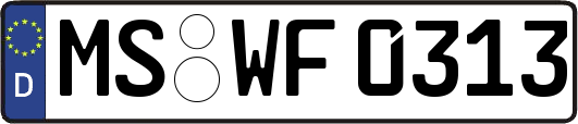 MS-WF0313