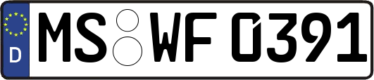MS-WF0391