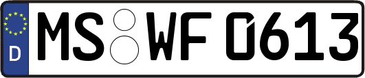 MS-WF0613