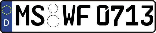 MS-WF0713