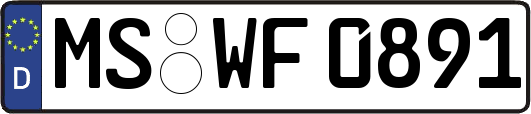 MS-WF0891
