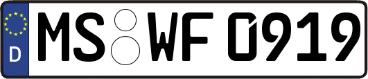 MS-WF0919