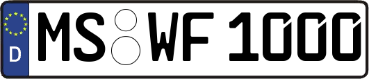 MS-WF1000