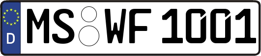 MS-WF1001