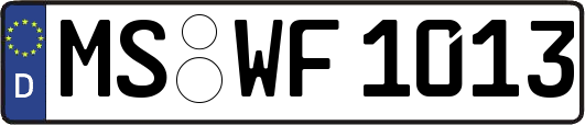 MS-WF1013