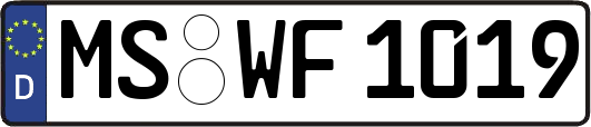 MS-WF1019