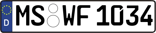 MS-WF1034