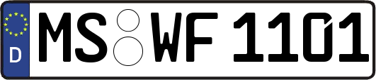 MS-WF1101
