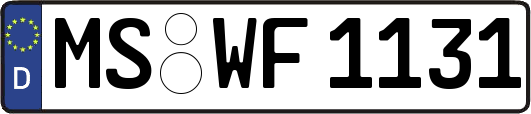 MS-WF1131