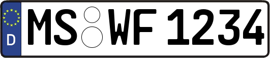 MS-WF1234