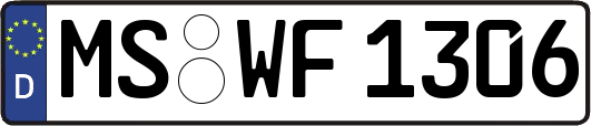 MS-WF1306