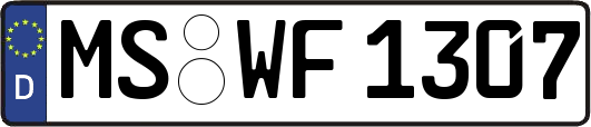 MS-WF1307