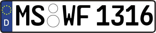 MS-WF1316