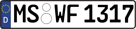 MS-WF1317