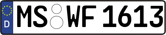 MS-WF1613