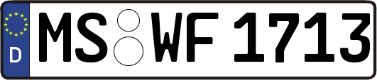MS-WF1713