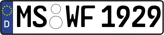 MS-WF1929