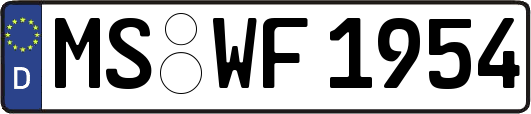 MS-WF1954
