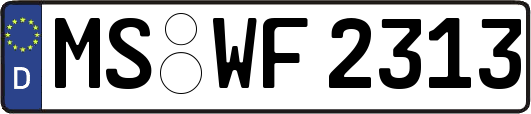 MS-WF2313