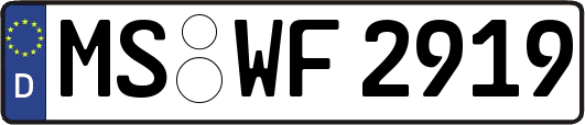 MS-WF2919